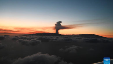 Photo of Over 5,000 people evacuated as volcano erupts on Spain’s La Palma island | Partners | Belarus News | Belarusian news | Belarus today | news in Belarus | Minsk news | BELTA