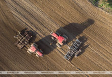 Photo of Сев озимых зерновых в Беларуси проведен почти на половине площадей