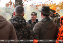 Photo of Hunting season in Belovezhskaya Pushcha | Belarus News | Belarusian news | Belarus today | news in Belarus | Minsk news | BELTA