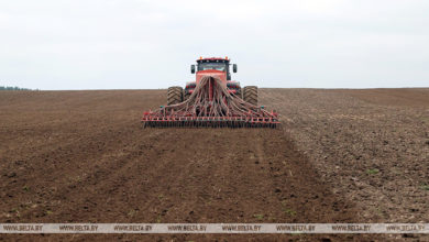 Photo of Less than 15% of winter crops have yet to be planted in Belarus