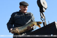 Photo of ФОТОФАКТ: Рыбное хозяйство “Тремля” Петриковского района