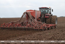Photo of Sowing of winter crops in Belarus nearly 90% complete