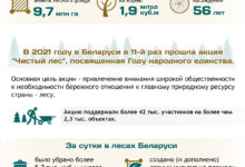 Photo of Акция «Чистый лес» | Новости Беларуси|БелТА