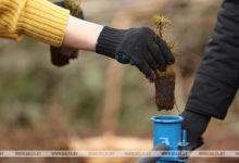 Photo of Работа волонтеров акции “Чистый лес” будет организована более чем на 2 тыс. объектов