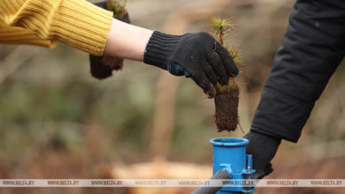 Photo of Работа волонтеров акции “Чистый лес” будет организована более чем на 2 тыс. объектов
