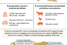 Photo of Сельское хозяйство Беларуси | Новости Беларуси|БелТА