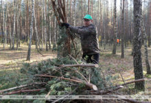 Photo of Акция «Чистый лес» собрала в Минской области более 8 тыс. участников