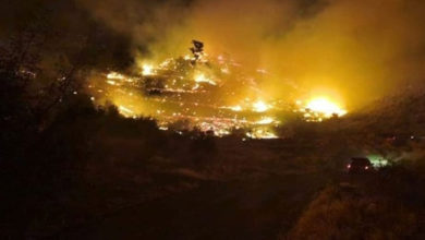 Photo of В Турции снова вспыхнули лесные пожары |