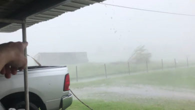 Photo of Ураганный ветер легко отправил в полет 18-ти тонный контейнер (Видео)