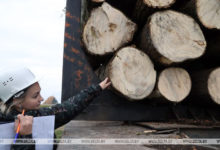 Photo of РЕПОРТАЖ: Готовь сани летом: жители Могилевской области активно ведут заготовку дров