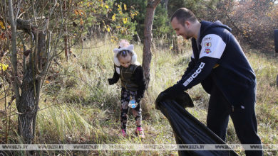 Photo of В акции «Чистый лес» примут участие более 7,4 тыс. жителей Могилевской области