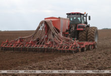 Photo of Озимые зерновые в Беларуси посеяли почти на 90% площадей