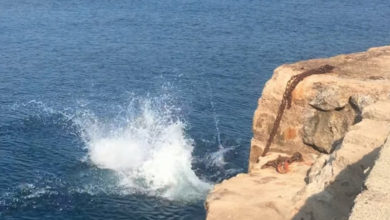 Photo of Покажем класс: совместный прыжок человека и пса в воду повеселил людей (Видео)