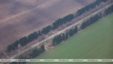 Photo of Озимые зерновые в Беларуси посеяли на 67,8% площадей
