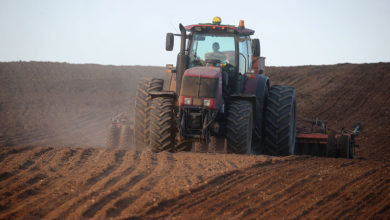 Photo of Winter wheat harvesting in Grodno District | In Pictures | Belarus News | Belarusian news | Belarus today | news in Belarus | Minsk news | BELTA