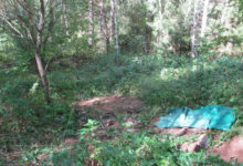 Photo of В Бешенковичском районе найдены останки шестерых человек, предположительно времен ВОВ