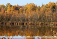 Photo of Lake Polonskoye | Belarus News | Belarusian news | Belarus today | news in Belarus | Minsk news | BELTA