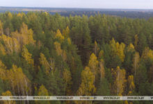 Photo of Абмежаванні на наведванне лесу дзейнічаюць у 10 раёнах Беларусі