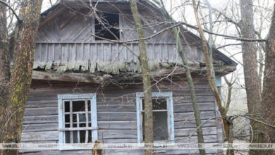 Photo of Более 250 неиспользуемых объектов вовлекли в хозоборот или снесли в Гомельской области за 9 месяцев