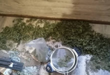 Photo of Житель Гомельского района хранил дома почти 1 кг марихуаны