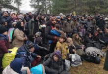 Photo of Мигранты добрались до припасов дачников