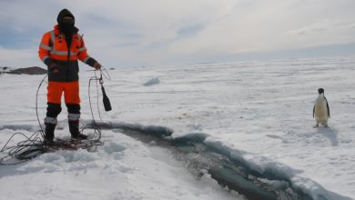 Photo of У белорусских полярников открылся очередной антарктический сезон