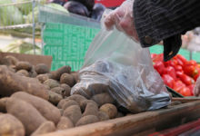 Photo of В Беларуси овощи и яблоки отнесли к социальным продуктам