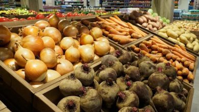 Photo of В Беларуси ограничили цены на импортные овощи, которые больше всего подорожали