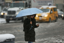 Photo of Погода в Беларуси в последнюю неделю зимы: дожди с мокрым снегом
