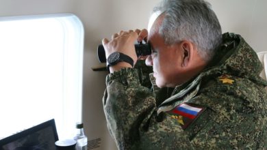 Photo of Шойгу прилетел в Беларусь инспектировать войска