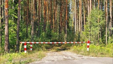 Photo of 72, 77, 78, 79… районов. В Беларуси почти каждый час вводят ограничения на посещения лесов. Добавили Могилевскую область. ФОТО