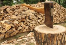 Photo of «Заказывайте, привезем через четыре месяца»: профсоюзы сообщают о проблемах с приобретением дров