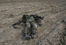 Photo of «Фатальная ошибка и дорога в один конец». Украинцы рассказали, что ждет белорусских военных в результате агрессии