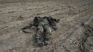 Photo of «Фатальная ошибка и дорога в один конец». Украинцы рассказали, что ждет белорусских военных в результате агрессии