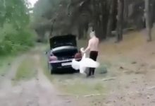 Photo of Белорусы опознали живодера, который запихивал лебедя в багажник машины