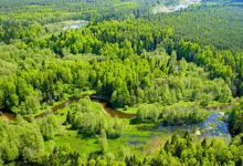 Photo of В Беларуси посещать лес теперь можно только в одном районе: карта запретов и ограничений