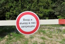 Photo of В Беларуси запрещено посещать леса почти по всей стране. Пожароопасная обстановка?