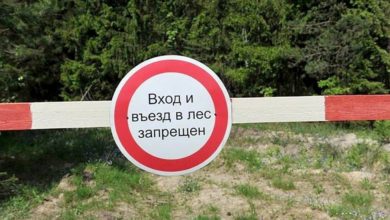 Photo of В Беларуси запрещено посещать леса почти по всей стране. Пожароопасная обстановка?