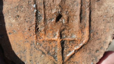 Photo of На Минском городище нашли фрагмент горшка с гербом Изяслава