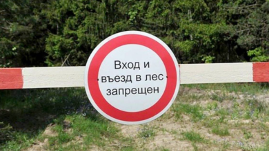 Photo of Леса на юге Беларуси до сих пор закрыты