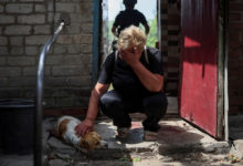 Photo of «Отгрыз себе лапу и вернулся к своим, не захотел оставаться в плену». Как войну в Украине переживают собаки. ФОТОРЕПОРТАЖ
