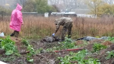 Photo of Тела сбросили в яму и все сравняли танками: в Харьковской области нашли еще одно массовое захоронение. ФОТО