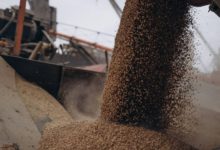 Photo of Президент Литвы назвал ловушкой предложение Беларуси перевозить украинское зерно