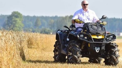 Photo of Лукашенко и «войско колхоза»: автократ хочет отправить половину чиновников на сельськохозяйственные работы