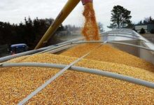 Photo of Литва допустила перевозку украинского зерна через Беларусь, но без политических условий