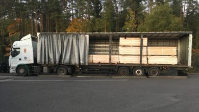 Photo of В обход санкций. Белорусскую древесину поставляют в ЕС по фальшивым документам