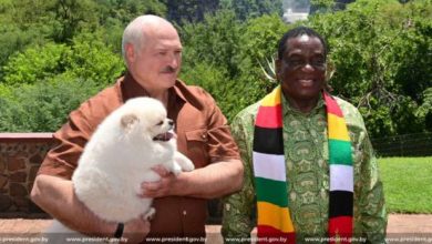 Photo of «Нынешние визиты в Зимбабве и ОАЭ – в лучшем случае «информационный шум». Эксперты – о поездках Лукашенко