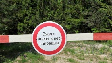 Photo of Ограничения на посещения лесов введены в 35 районах Беларуси