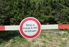 Photo of На большей части территории Беларуси ввели ограничения на посещение лесов