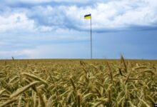 Photo of В Украине конфискуют земельные участки у граждан Беларуси